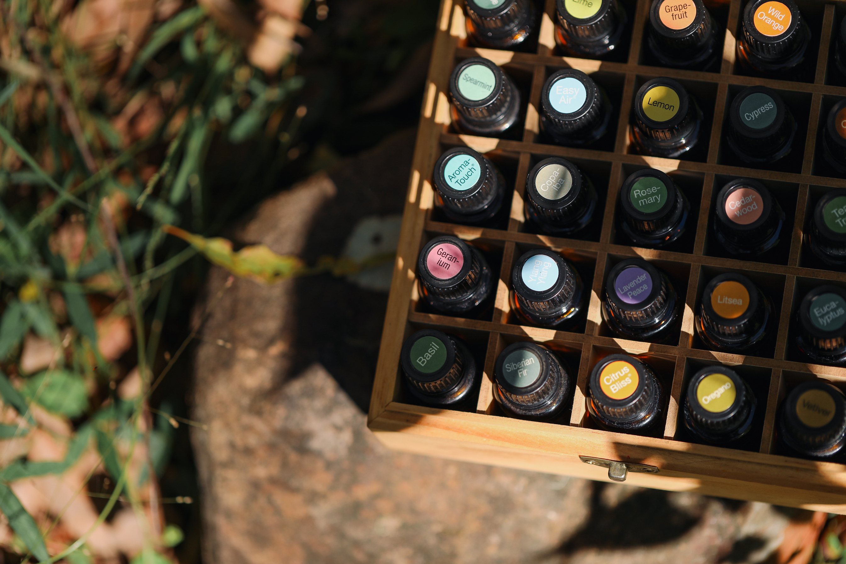 Full Box of Essential Oils in Dappled Outdoor Light